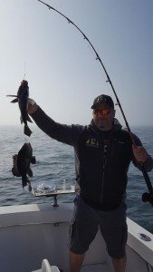 18557175_1330768706999639_4805221269077540402_n