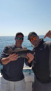 18447688_1330768776999632_8844982636855510736_n