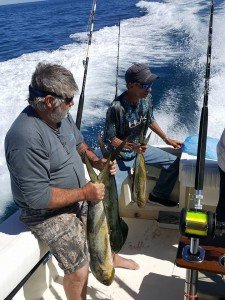 18519571_1870587669633742_6229221942590180770_n