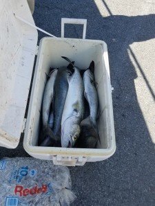 18518442_10212420721254169_937819801_n