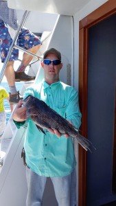 18485624_10158900312920105_8927154795367777933_n