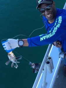 18485476_10154541811947267_8618332614573550525_n