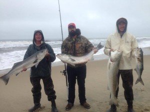 18493686_1473825312692914_433660714_o