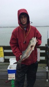 18450082_1534626863228286_1440927445_n