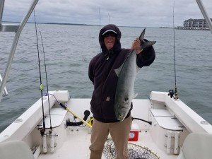 18471883_1810698282277357_263162826_o