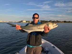 18405435_10213092000564191_1120759387_o