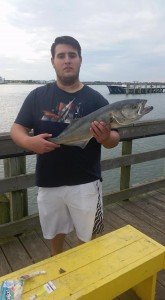 18402882_990579931079240_8962375828288121873_n