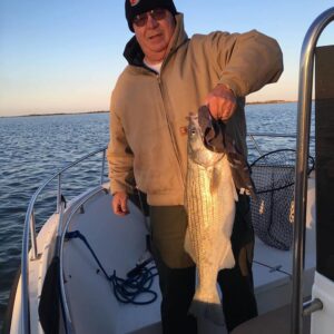 18386476_1654717924568863_571461912_n