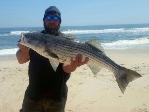 18362134_1102246909879296_986408431_o