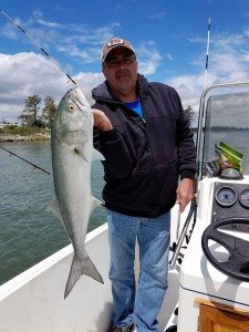 18268355_1477773618913525_4300135112739326039_n