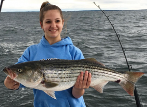 Screenshot 2017-05-07 20.51.09