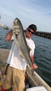 18268202_1470075706377989_7067197776095427862_n