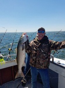 18199541_1541196722559222_8074695659829713017_n