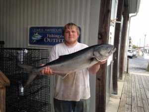 18199571_1461743683888475_7120282762617611401_n