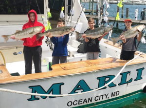 Screenshot 2017-05-04 18.57.44