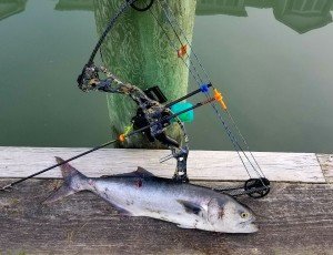 Resized_20170502_204534-01