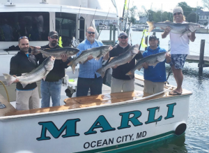 Screenshot 2017-05-02 20.21.57