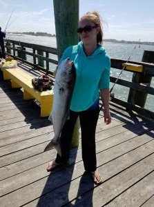 18301947_10210680204735020_7077578948577913668_n