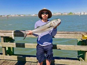 18289995_10213024466755888_131770221_o