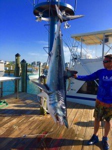 18217732_738310306350407_1920775935_n