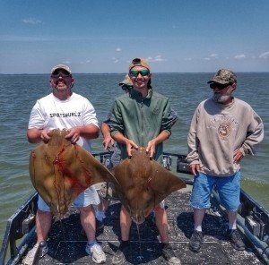 Resized_20170630_115250-01