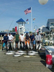 19554440_1386990151392259_7924757837850791375_n