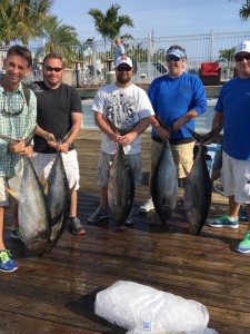 19601063_808552195987093_1188162101531784642_n