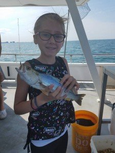 19554535_1988122121213275_4171239212293657933_n