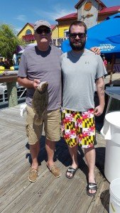 19601127_1963080333964207_871164502679665782_n