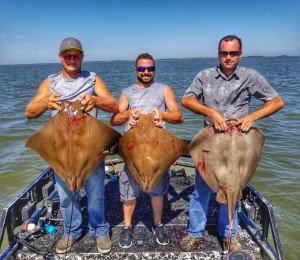 thumbnail_20170621_153622-02