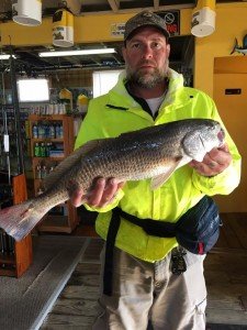 19399967_544128985977865_403739910577000061_n