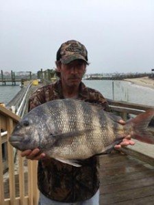 19399589_545245295866234_8539894530601257206_n