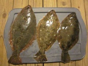 19366339_10212862043537092_8942515034979568131_n