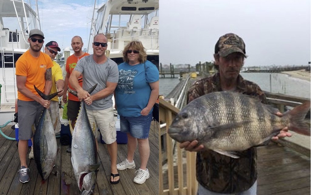 Big Tuna and a Monster Sheepshead