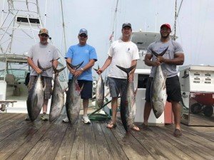 19399945_1326376537412223_5265129076633806040_n