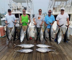 19433620_1391395917615757_501530244_n