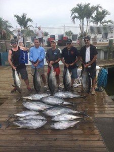 19399868_804977983011181_3419995359753108092_n