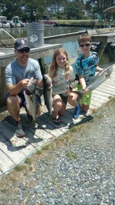 19398841_1862003490787276_65206910_n