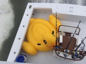 19260231_763257207186955_5609786632757355714_n