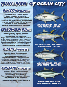 Screenshot 2017-06-12 16.33.47