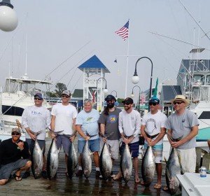 19149226_1548697585162089_8817280062961718484_n