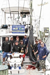 19106053_10154772315591448_4342765829742878950_n