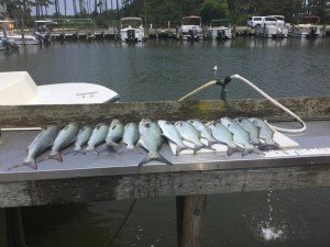 FB_IMG_1497488038375