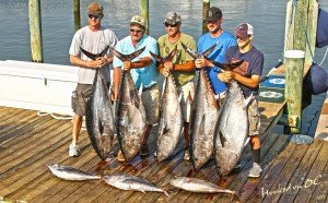 19197729_10211188073755453_2032515396_o