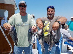 19029318_10159043620210105_2415376350297598061_n