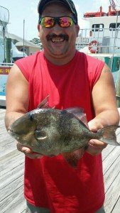 19060146_1161781560594269_6365735464187693083_n