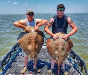 Resized_20170611_132917-01