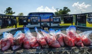 Resized_20170611_150602-01