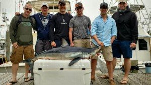 19095814_10213061206711143_105935706_o