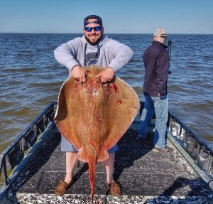 Resized_20170609_083554-01